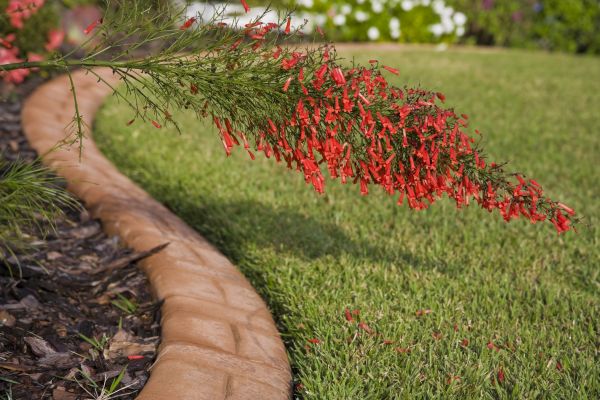 Brick Edging in Rapid City